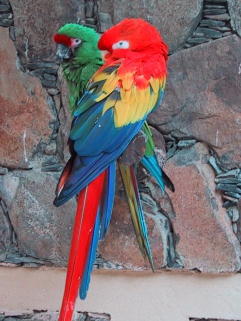 gran04.jpg (57743 Byte)