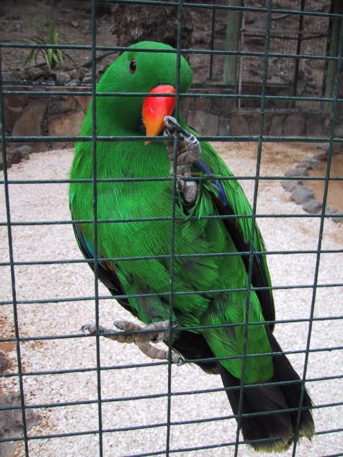 gran05.jpg (68823 Byte)