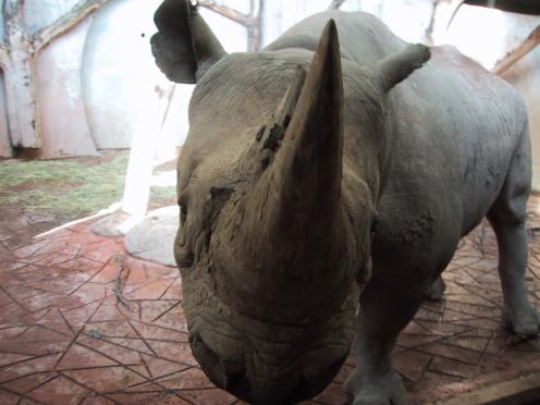 nashorn01.jpg (27368 Byte)