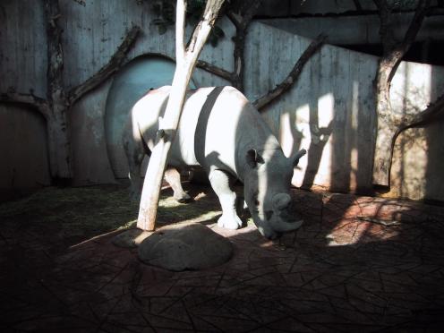 nashorn02.jpg (28044 Byte)