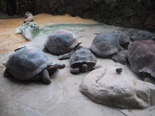 schild02.jpg (29268 Byte)